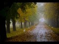 VIDEOCLIP Dimineata cu ceata colorata, peisaje la Caldarusani