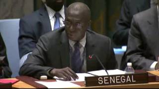 Сенегал: то, что происходит в Сирии, невыносимо - Совбез ООН 08.10.2016 4