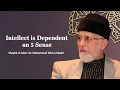Intellect is Dependent on Five Senses | Shaykh-ul-Islam Dr Muhammad Tahir-ul-Qadri
