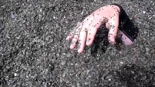 detective brennen at shark bay trailer