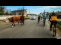 VIDEOCLIP Traseu SSP Bucuresti - Afumati - Branesti - Vadu Anei - Cernica - Balaceanca - Bucuresti