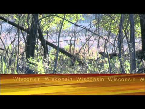 Deer Hunt 2010 | Program |