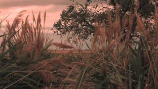 The Crow Wicked Prayer-New Trailer 2011