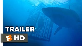 47 Meters Down Trailer #2 (2017) | Movieclips Trailers