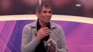 Сухой кошачий корм для взрослых кошек. Естественный отбор