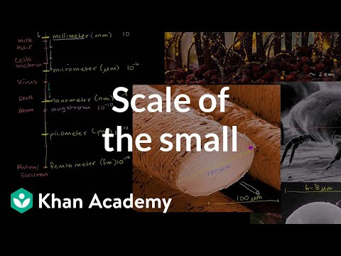 Scale of the Small