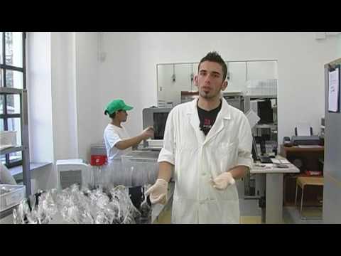 Alessandro nel laboratorio di cioccolato