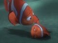 Finding Nemo- Beyond the Sea