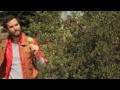 Photo Los Problemas De La Zoofilia