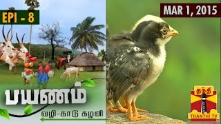 Payanam 01-03-2015 Captaintv Show | Watch Captain Tv Payanam Show March 01, 2015