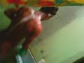 Image Video Bugil Lucu Ala Miyabi Gokil 3gp