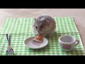 Tiny Hamster, Tiny Pizza