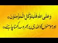 ____ ____ ___ ___ | Shaykh-Islam Dr Muhammad Tahir-ul-Qadri