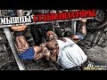 Денис Борисов - Мышцы стабилизаторы Денис Борисов - Мышцы стабилизаторы