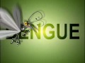 Campanha de combate à Dengue