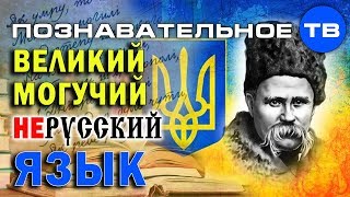 Великий могучий нерусский язык (Елена Гоголь)