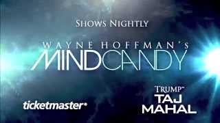Wayne Hoffman 2015 Taj Mahal Trailer