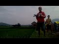 Picture Balap Merpati Sprint Terbaik