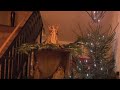 Hlučín: Rozsvícení stromu v Domově pod  Vinnou horou