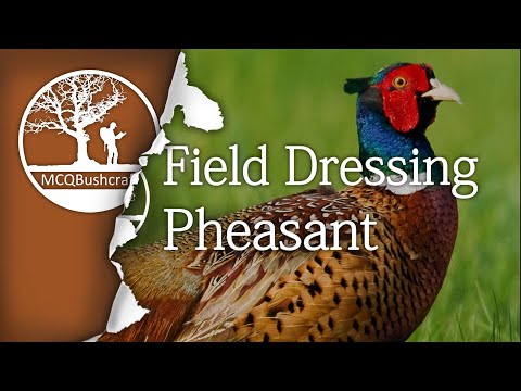 Ellis Game Bird Farm And Pheasant Hunt Club
