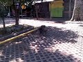 Photo Video Porno Abg 3gp