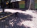 Image Video Porno Abg 3gp