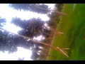 Picture Ketauan Ngentot D Bawah Tol
