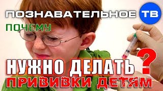 Почему нужно делать прививки детям? (Владимир Базарный)