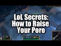 Photo Lol Secrets Poro Training Guide For Dummies