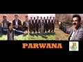 Parwana