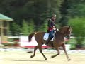 Alla Mandria gli europei di dressage