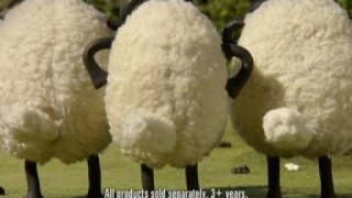 shaun the sheep teddy bear