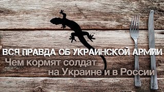 Вся правда об украинской армии: чем кормят солдат на Украине и в России