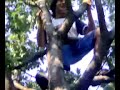 Photo Porno Tarzan Vs Anna