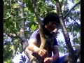 Picture Porno Tarzan Vs Anna