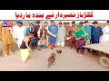 Number daar Kokar Baaz Murgha Larai numberdar Funny Video  Most Comedy Funny Video  You Tv Hd 2025