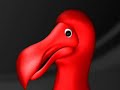 Photo Screensaver Generator By Red Dodo