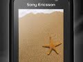 Picture Screensaver Generator By Red Dodo