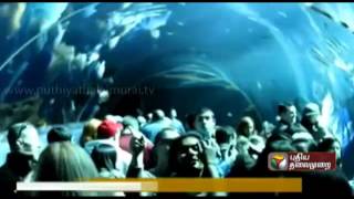 Fascinating Facts 23-07-2014 Puthiya Thalaimuraitv Show | Watch Puthiya Thalaimurai Tv Fascinating Facts Show July 23, 2014