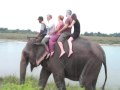 elephant bathing chitwan