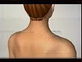 Фрагмент с середины видео Как лечить сифилис у мужчин Фрагмент с середины видео Как лечить сифилис у мужчин