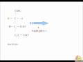 Ciclo di Krebs (44 Gatti)
