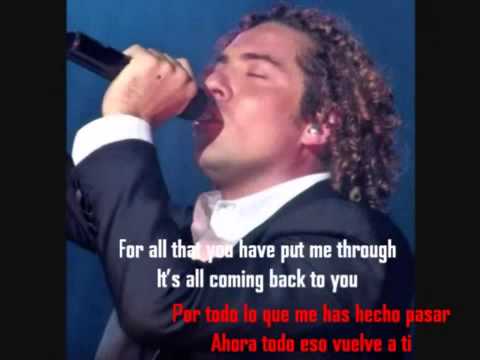 Cry For Me En Espanol - David Bisbal