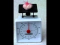 miniature
