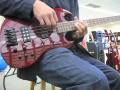 ltd viper 254 bass