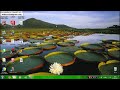 Photo Como Bloquear Sites Pornográficos No Windows 7