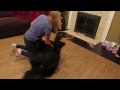 Image Operation Newfie Takedown