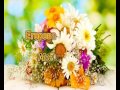 Фрагмент с начала видео Картофель с фаршем. Очень вкусно и быстро. Второе блюдо. Фрагмент с начала видео Картофель с фаршем. Очень вкусно и быстро. Второе блюдо.