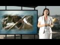 The Parables Of Jesus Part 1 The Parables Of Jesus Part 1