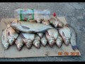 волчий ворота рыбалка волчий ворота рыбалка